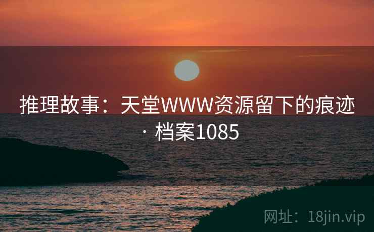推理故事：天堂WWW资源留下的痕迹 · 档案1085