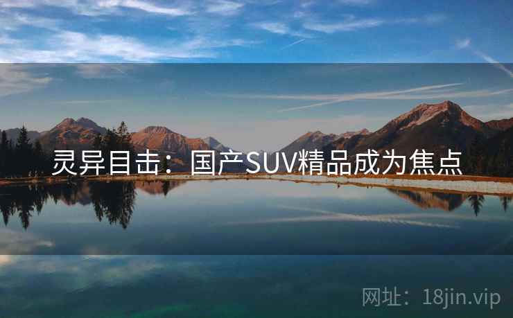灵异目击：国产SUV精品成为焦点