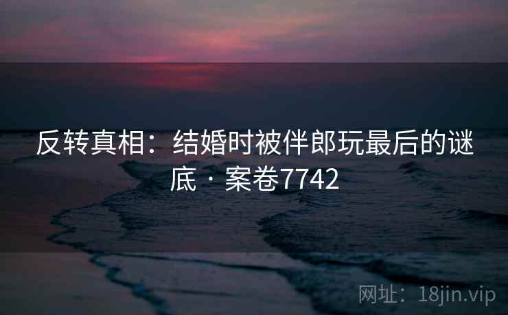 反转真相：结婚时被伴郎玩最后的谜底 · 案卷7742