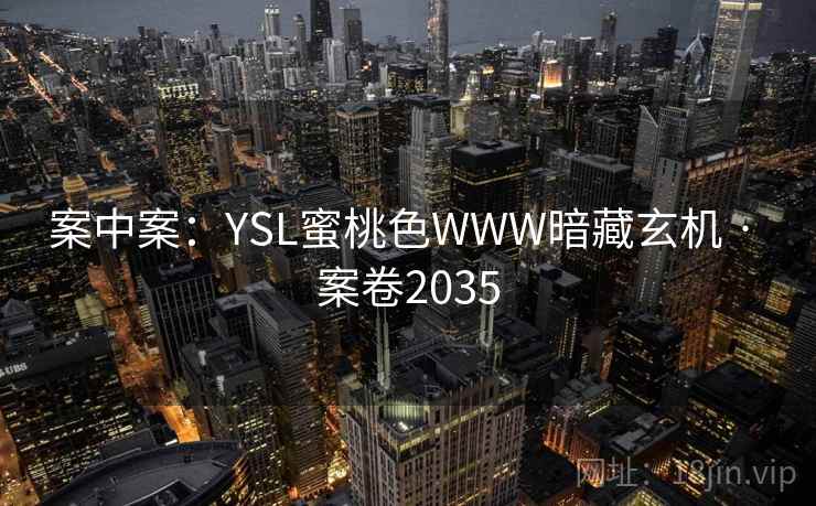 案中案：YSL蜜桃色WWW暗藏玄机 · 案卷2035