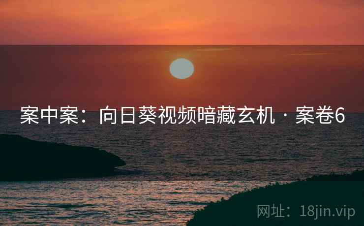 案中案：向日葵视频暗藏玄机 · 案卷6